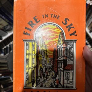 Fire in the Sky by Selig Schachnowitz
