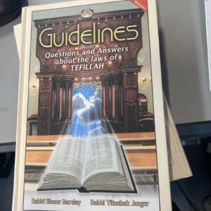 GUIDELINES: QUESTIONS & ANSWERS ABOUT THE LAWS OF TEFILLAH By Rabbi Elozor Vol 2