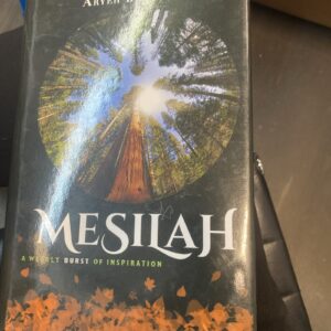 Messiah A Weekly Burst of Inspiration  Aryeh Berzansky Weekly Thoughts Parsha